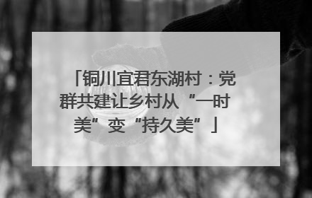 铜川宜君东湖村：党群共建让乡村从“一时美”变“持久美”