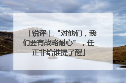 锐评｜“对他们，我们要有战略耐心”，任正非给谁提了醒