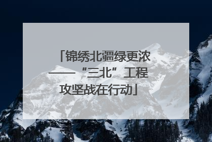 锦绣北疆绿更浓——“三北”工程攻坚战在行动