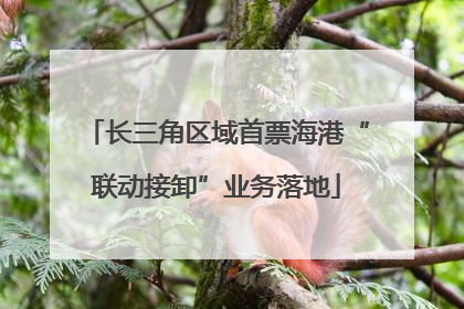 长三角区域首票海港“联动接卸”业务落地