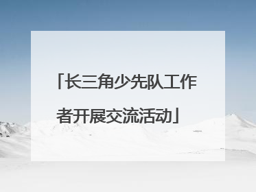 长三角少先队工作者开展交流活动