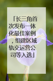 长三角首次发布一体化最佳案例，组建区域轨交运营公司等入选