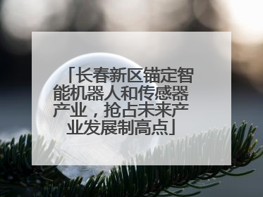 长春新区锚定智能机器人和传感器产业，抢占未来产业发展制高点