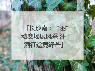 长沙南：“羽”动赛场展风采 汗洒征途竞锋芒