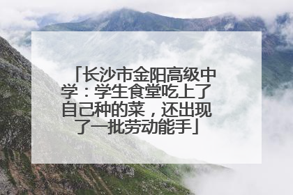 长沙市金阳高级中学：学生食堂吃上了自己种的菜，还出现了一批劳动能手