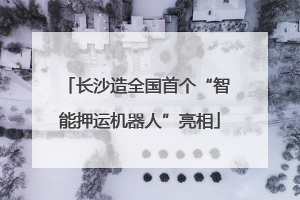 长沙造全国首个“智能押运机器人”亮相