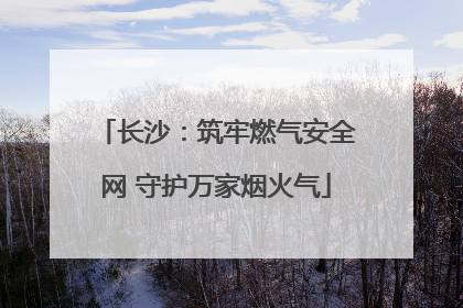 长沙：筑牢燃气安全网 守护万家烟火气