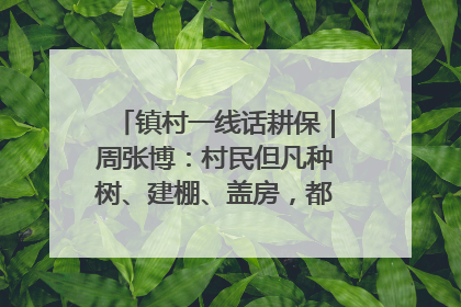 镇村一线话耕保｜周张博：村民但凡种树、建棚、盖房，都要向街道报批