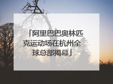 阿里巴巴奥林匹克运动场在杭州全球总部揭幕