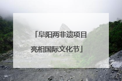 阜阳两非遗项目亮相国际文化节