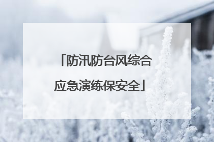 防汛防台风综合应急演练保安全
