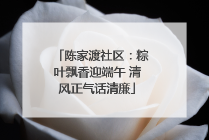 陈家渡社区：粽叶飘香迎端午 清风正气话清廉