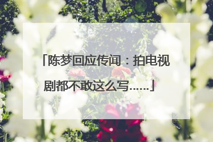 陈梦回应传闻：拍电视剧都不敢这么写……