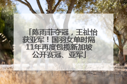 陈雨菲夺冠，王祉怡获亚军！国羽女单时隔11年再度包揽新加坡公开赛冠、亚军