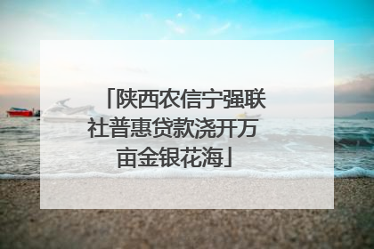陕西农信宁强联社普惠贷款浇开万亩金银花海
