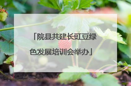 院县共建长豇豆绿色发展培训会举办