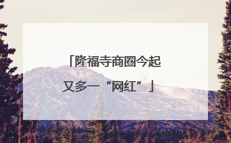 隆福寺商圈今起又多一“网红”
