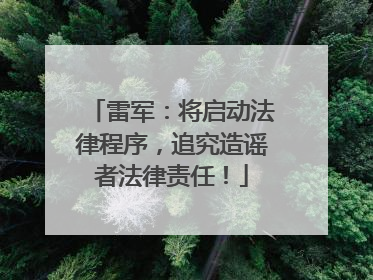 雷军：将启动法律程序，追究造谣者法律责任！