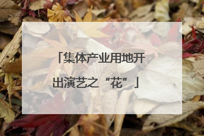 集体产业用地开出演艺之“花”
