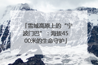 雪域高原上的“宁波门巴”：海拔4500米的生命守护