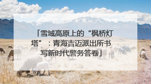 雪域高原上的“枫桥灯塔”：青海吉迈派出所书写新时代警务答卷