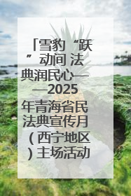 雪豹“跃”动间 法典润民心——2025年青海省民法典宣传月（西宁地区）主场活动见闻