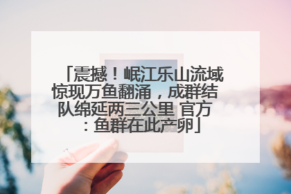 震撼！岷江乐山流域惊现万鱼翻涌，成群结队绵延两三公里 官方：鱼群在此产卵
