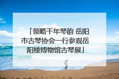 领略千年琴韵 岳阳市古琴协会一行参观岳阳楼博物馆古琴展