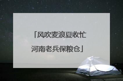风吹麦浪夏收忙 河南老兵保粮仓