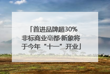 首进品牌超30% 非标商业亳都·新象将于今年“十一”开业
