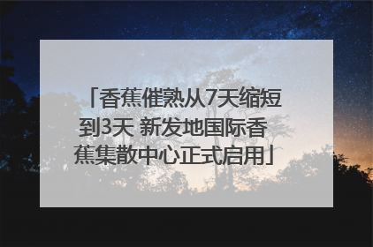 香蕉催熟从7天缩短到3天 新发地国际香蕉集散中心正式启用