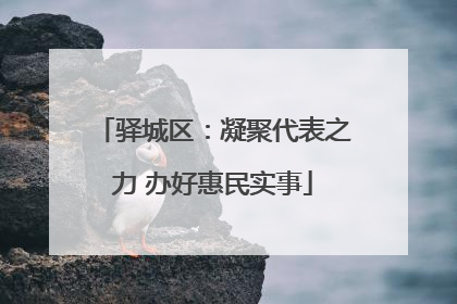 驿城区：凝聚代表之力 办好惠民实事