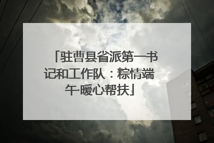 驻曹县省派第一书记和工作队：粽情端午·暖心帮扶