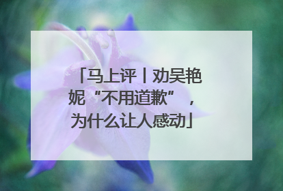 马上评丨劝吴艳妮“不用道歉”，为什么让人感动