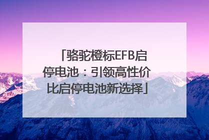 骆驼橙标EFB启停电池：引领高性价比启停电池新选择