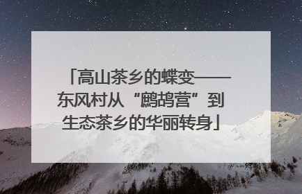 高山茶乡的蝶变——东风村从“鹧鸪营”到生态茶乡的华丽转身