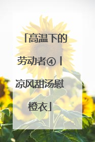 高温下的劳动者④丨凉风甜汤慰橙衣