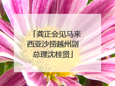 龚正会见马来西亚沙捞越州副总理沈桂贤