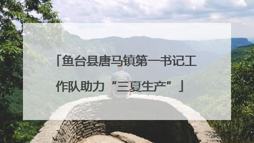鱼台县唐马镇第一书记工作队助力“三夏生产”