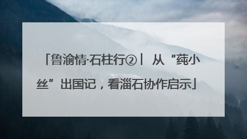 鲁渝情·石柱行② ︳从“莼小丝”出国记，看淄石协作启示
