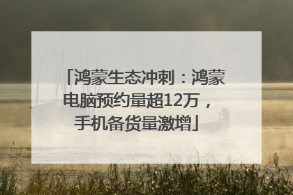鸿蒙生态冲刺：鸿蒙电脑预约量超12万，手机备货量激增
