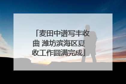 麦田中谱写丰收曲 潍坊滨海区夏收工作圆满完成