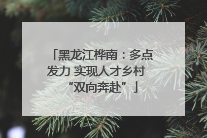 黑龙江桦南：多点发力 实现人才乡村“双向奔赴”