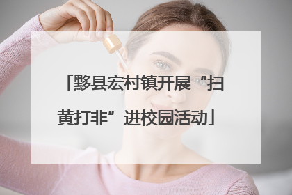 黟县宏村镇开展“扫黄打非”进校园活动