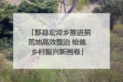 黟县宏潭乡推进撂荒地高效整治 绘就乡村振兴新画卷