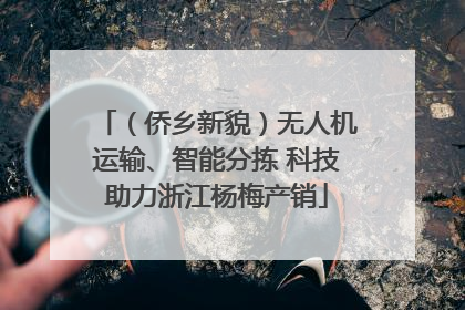 （侨乡新貌）无人机运输、智能分拣 科技助力浙江杨梅产销