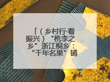（乡村行·看振兴）“槜李之乡”浙江桐乡：“千年名果”铺就乡村共富路