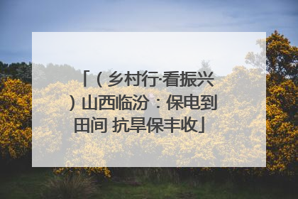 （乡村行·看振兴）山西临汾：保电到田间 抗旱保丰收