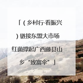 （乡村行·看振兴）链接东盟大市场 红菌撑起广西藤县山乡“致富伞”
