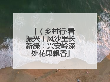 （乡村行·看振兴）风沙里长新绿：兴安岭深处花果飘香